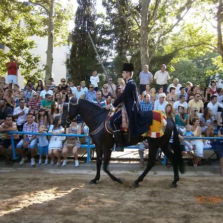 扬科维奇汽车旅馆