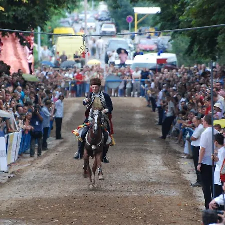 扬科维奇汽车旅馆 汽车旅馆 Hrvace