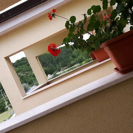 汽车旅馆 扬科维奇汽车旅馆 Hrvace