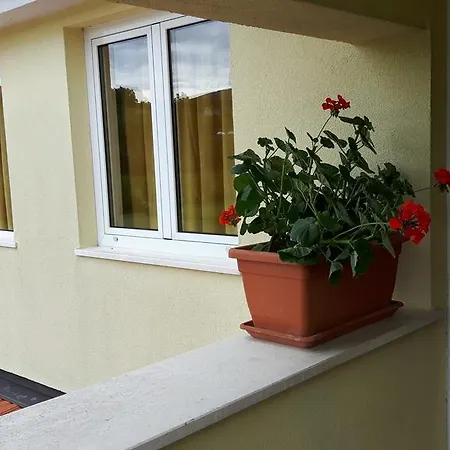 扬科维奇汽车旅馆