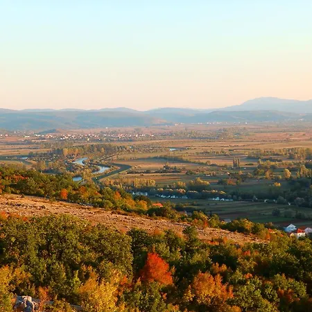 扬科维奇汽车旅馆