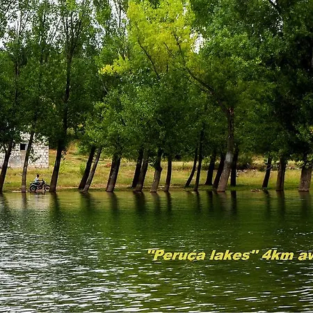 扬科维奇汽车旅馆 汽车旅馆